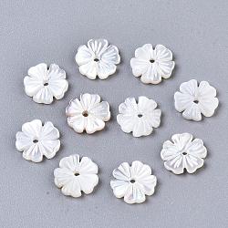 Shell perle bianche naturali, perle di madreperla, fiore, 8.5x8.5x1.5mm, Foro: 1 mm