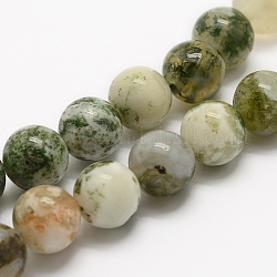 Chapelets de perles en agate d'arbre naturelle, ronde, 8mm, Trou: 1mm, Environ 46 pcs/chapelet, 14.5 pouce (37 cm)