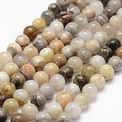 Chapelets de perles en agate de feuille de bambou naturelle, ronde, 8mm, Trou: 1mm, Environ 47 pcs/chapelet, 15.3 pouce