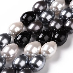 Shell-Perle Perle Stränge, Klasse A, Fass, Schwarz, 23x17 mm, Bohrung: 1 mm, ca. 17 Stk. / Strang, 15.15 Zoll