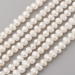 Fili di perle di perle d'acqua dolce coltivate naturali, patata, colore conchiglia, 7~9x7~8mm, Foro: 0.5 mm, circa 49~50pcs/filo, 13.7~14.3 pollice (35~36.5 cm)