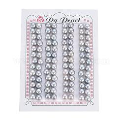 Perle coltivate d'acqua dolce perla naturale, mezzo forato, rondelle, tinto, grigio chiaro, 6.5~7x5.5mm, Foro: 0.8 mm, su 104 pc / scheda
