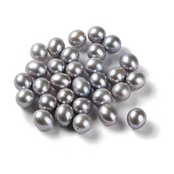 Perle di perle d'acqua dolce coltivate naturali tinte, mezzo forato, riso, grigio scuro, 10.5~14x10~10.5mm, Foro: 0.9 mm