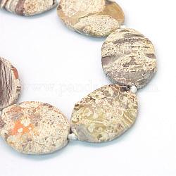 Faceted Oval Natural Ocean Jasper Beads Strands, Light Yellow, 39~56x30~45x7~11mm, Hole: 3mm, about 7~8pcs/strand, 15.7 inch