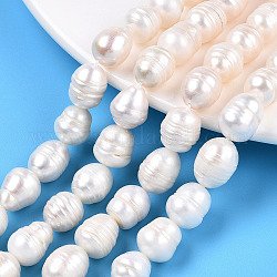 Brins de perles de culture d'eau douce naturelles, perles de riz baroques keshi, couleur de coquillage, 8~13.5x10.5~11mm, Trou: 0.7~0.8mm, Environ 15 pcs/chapelet, 7.09 pouce (18 cm)