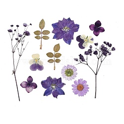 12 Stück gepresste Trockenblumen, für Handy, Fotorahmen, Scrapbooking DIY und Harzkunst Blumendekore, Blumenmuster, Mischfarbe, 19.5~128x21~44x0.2~0.7 mm