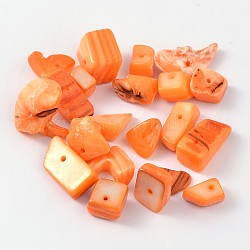 Natural Freshwater Shell Chips Beads, Shell Shards, Dyed, Orange, 8~17x5~7x4~6mm, Hole: 1mm, about 640pcs/500g