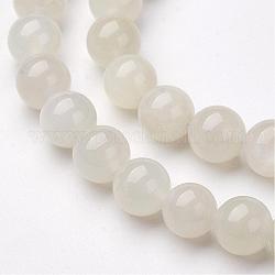 Brins de perles de lune blanche, teinte, ronde, 8mm, Trou: 1mm, Environ 48 pcs/chapelet, 15.5 pouce