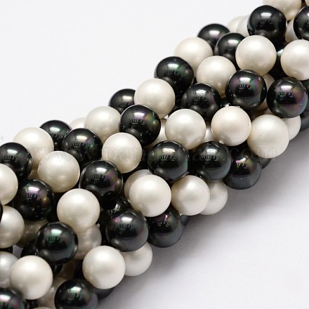 Chapelets de perles en coquille X-BSHE-L017-13-1