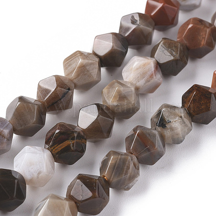 Chapelets de perles en bois pétrifié naturel G-F668-02-8mm-1
