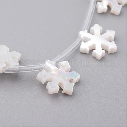 Natural White Shell Beads SSHEL-N019-007-1