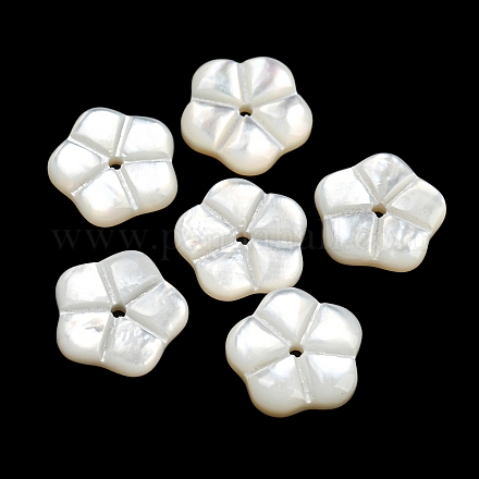 Shell perle bianche naturali BSHE-G034-29-1