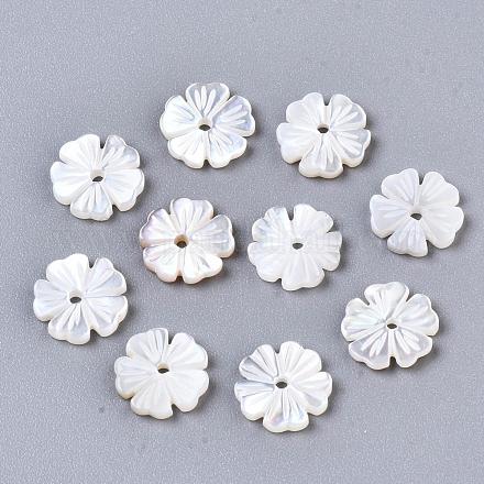 Perles de coquillage blanc naturel SSHEL-S260-050A-1