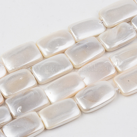 Galvanoplastie des brins de perles de coquille d'eau douce naturelle SHEL-R049-027C-1