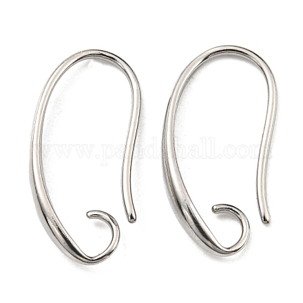 304 Stainless Steel Earring Hooks STAS-G310-21P-1