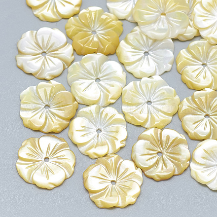 Perles de coquillage jaune SSHEL-S260-074-1