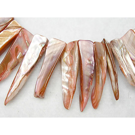 Chapelets de perles de coquillage naturel X-YPBB033-1