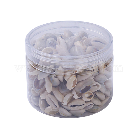 Kaurimuschel Perlen BSHE-X0006-03-1