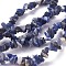 Natural Sodalite Beads Strands, Chip, 4~10x3~6mm, Hole: 0.5mm, 80~81cm