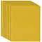 PVC Heat Transfer Vinyl, HTV Iron On Vinyl for T-shirts Clothing Garments Bags Fabrics DIY Decoration, Rectangle, Goldenrod, 305x253x0.2mm
