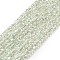 Electroplate Glass Beads Strands, Pearl Luster Plated, Faceted, Rondelle, Honeydew, 2.4~3.2x4mm, Hole: 1mm, about 147~152pcs/strand, 39~45cm