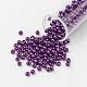 11/0 Grade A Baking Paint Glass Seed Beads X-SEED-N001-A-1056-1