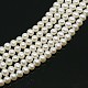Natural Cultured Freshwater Pearl Beads Strands PEAR-N002-5mm-05A-3
