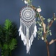 Iron Bohemian Woven Web/Net with Feather Macrame Wall Hanging Decorations PW-WG35995-01-2