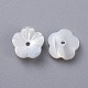 Perle trochid naturali / conchiglie trochus BSHE-K054-19-8MM-2