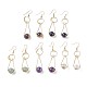 Natural Mixed Stone Dangle Earrings EJEW-F223-03-1