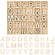 Set di lettere a~z in legno grezzo e simboli DJEW-WH0015-35-7