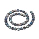 Natural Abalone Shell/Paua Shell Beads Strands X-SSHEL-G003-5-8x3mm-4