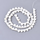 Eau douce naturelle de coquillage perles brins SHEL-N027-01-2