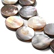 Natural Sea Shell Beads Strands SHEL-K006-34-3