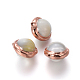 Perles de coquille BSHE-F008-04RG-1
