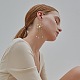 Железа филигранной столяры IFIN-PH0024-67-6
