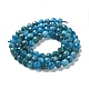 Natural Apatite Beads Strands G-J400-E01-02-3