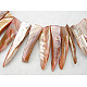 Natural Shell Beads Strands X-YPBB033-1