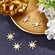 Beebeecraft 1 Box 5Pcs Sun Charms 18K Gold Plated Cat's Eye Glass Celestial Charm Pendants for Jewelry Making Bracelet Necklace Earring Craft Supplies KK-BBC0003-60-4