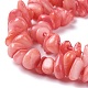 Eau douce naturelle de coquillage perles brins BSHE-I016-01-3