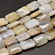 Natural Dendritic Agate Rectangle Bead Strands G-M257-16x12mm-16-1