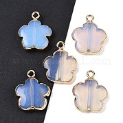 Opalite подвески G-P566-01G-03