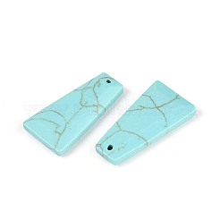 Pendentifs de turquoise synthétique&nbsp;G-Q601-10C
