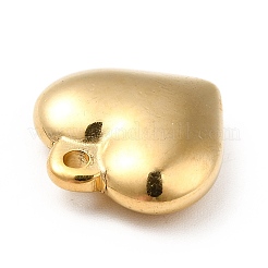 Placcatura ionica (ip) ciondoli in acciaio inossidabile 304&nbsp;LS-STAS-H172-01G