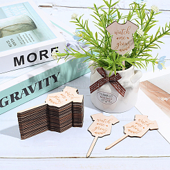 Étiquettes de vêtements en bois pour plantes&nbsp;DIY-WH20050-17