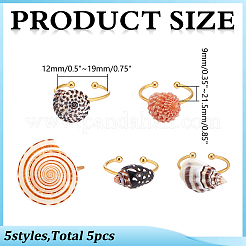 5 Stück 5 Stile verstellbare Muschelschalen-Manschettenringe aus Messing&nbsp;RJEW-WR0001-03