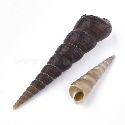 Spiralmuschelperlen&nbsp;SSHEL-S258-34