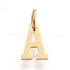Pendentifs en acier inoxydable 304&nbsp;STAS-M276-A26