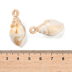 Opake Acryl Anhänger&nbsp;OACR-U004-06F