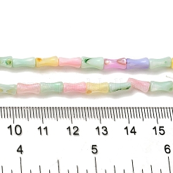 Regenbogenfarben gefärbte Stränge natürlicher Süßwassermuschelperlen&nbsp;X1-SHEL-G018-02C